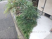 植栽