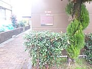 植栽