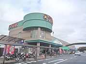 スター　グリーンヒル店まで1510メートル