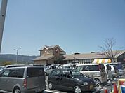 マツモト　大原野店まで2020メートル