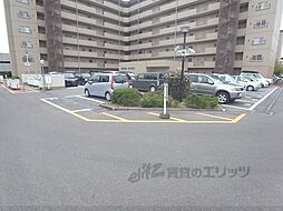11 / 11