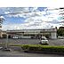 周辺：ドラッグセイムス柳崎1丁目店