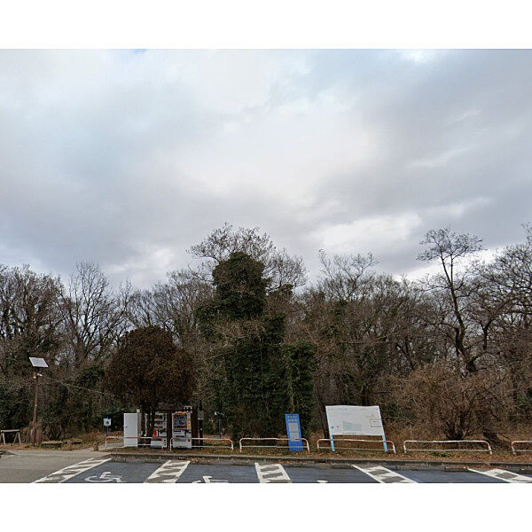 周辺を拡大表示