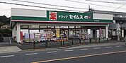 ドラッグセイムス元八王子店（距離約600m、徒歩約8分）　