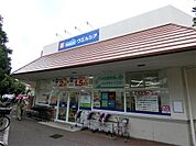 ウエルシア大田上池台店（220m）