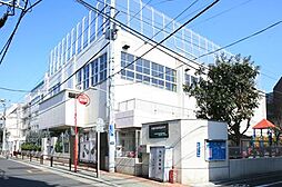 【幼稚園】育英幼稚園まで533ｍ