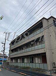 パーシモン　ジュジュベ