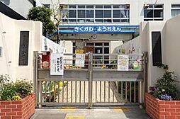 【幼稚園】菊川幼稚園まで544ｍ