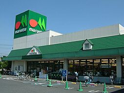 【スーパー】マルエツ東上野店まで401ｍ