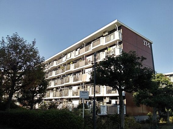 遊歩道が整備さ...