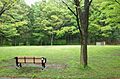【公園】大貫谷...