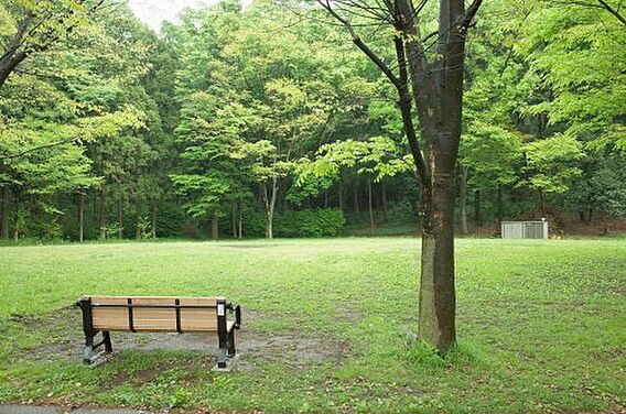 【公園】大貫谷...