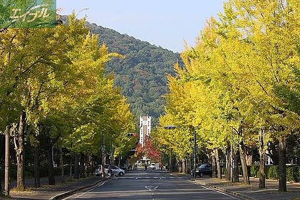 画像26:岡山大学 津島キャンパス 1191m
