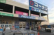 コーナンPRO高柳店 801m
