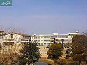 岡山市立岡山中央小学校 223m