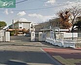 岡山市立清輝小学校 706m