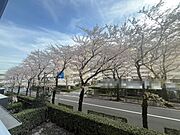 洋室（1）（約6.2帖）リビングに隣接している洋室。引き戸を開ければ広々としたスペースになります。※室内の家具や調度品等は価格に含まれません。