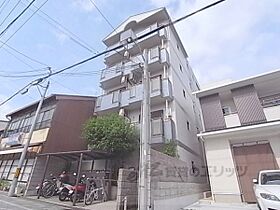 京都府京都市伏見区西柳町（賃貸マンション1K・5階・19.00㎡） その1