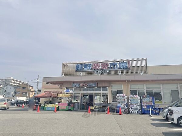 画像24:新鮮激安市場！宇治店まで350メートル