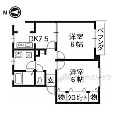 サクラ21