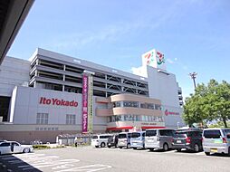 シュロスカエデ