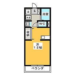 コンチェルトM