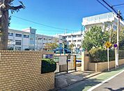 西小岩小学校西小岩小学校 520m
