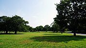 篠崎公園 284m