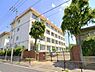 周辺：奥戸中学校奥戸中学校 920m