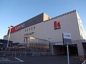 DCM 八田店 （ホームセンター）（1200m）