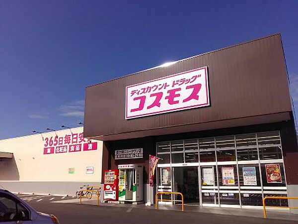 画像25:【ディスカウントショップ】コスモス龍ケ崎ニュータウン店まで837ｍ