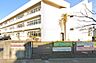 周辺：杉戸町立杉戸小学校　（約220ｍ）