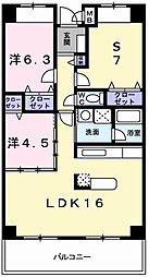 グレイスコート 5階