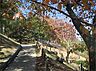 周辺：西山公園