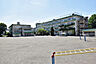 周辺：小金井市立緑小学校
