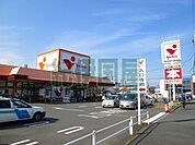ヤオマサ蛍田店(234m)