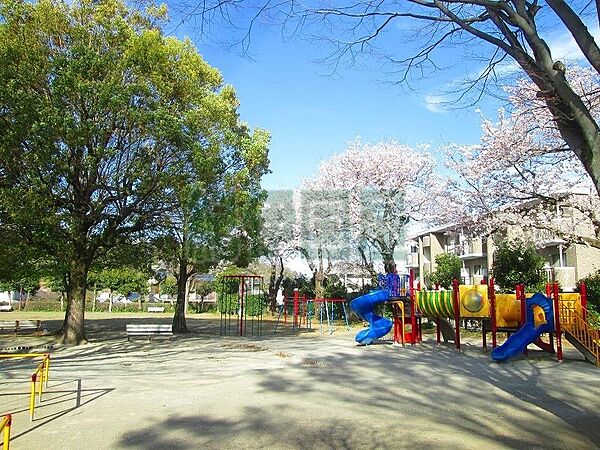 画像25:関本公園(100m)