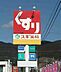 周辺：スギ薬局 堺新家町店（514m）