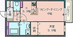 ドエル 2階/-