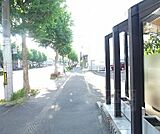 前面道路です。