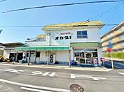 オカダヤ（500m）