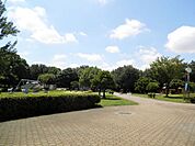 朝宮公園（990m）