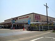 Mikawaya ビッグリブ小牧店（1892m）