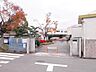 周辺：春日井市立柏原小学校（591m）