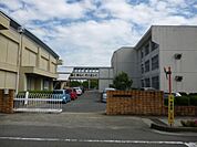 岩倉市立五条川小学校（785m）