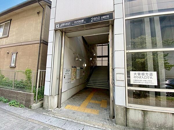 周辺を拡大表示