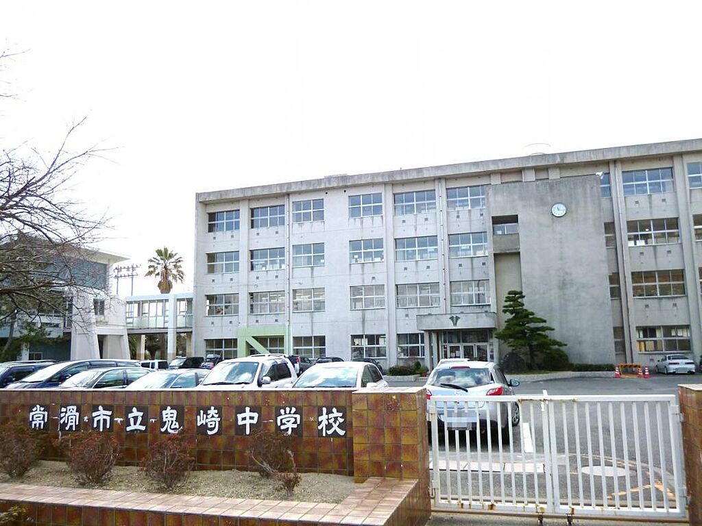 Image 78
