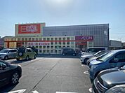 ザ・ビッグエクスプレス 南陽店（300m）