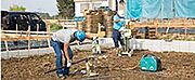 地盤調査は、法令に準じた3項目8要素で徹底的に検証。土地状況に応じた基礎仕様や、地盤改良工事などを実施。 不同沈下しない地盤の品質をお約束。基礎着工日に始まり、引き渡し日から10年間保証します。  