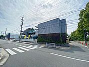 わんぱく保育園（350m）